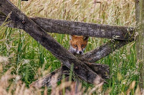 countryfile calendar vote 2023|Countryfile Calendar Vote 2023: Terms & Conditions .